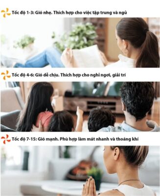 Quạt Tuần Hoàn Toshiba