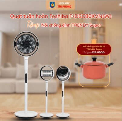 Quạt tuần hoàn Toshiba