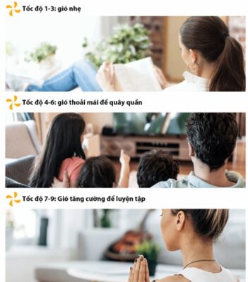 Quạt tuần hoàn Toshiba